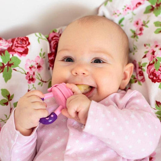 Fresh Vegetable Fruit Baby Pacifier Feeder